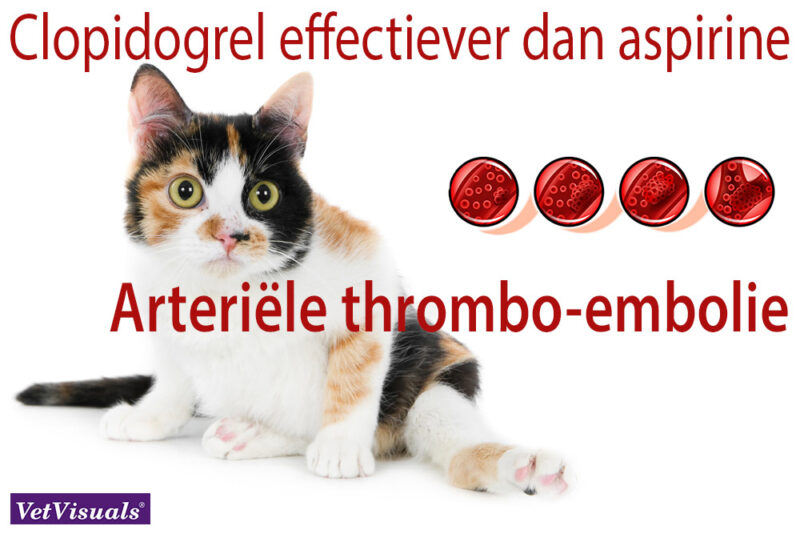 Arteriële thrombo-embolie clopidogrel acetylsalicylzuur