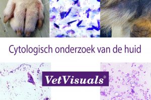 cytologisch onderzoek hond kat dierenarts