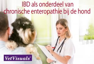 Inflammatory bowel disease