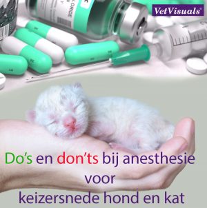 keizersnede hond, anesthesie, ASA-1, anesthesieprotocol