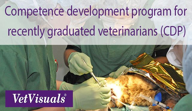 Competence development program recently graduated veterinarians (CDP)