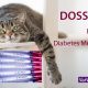 Feline Diabetes Mellitus dierenarts veterinaire nascholing cursu