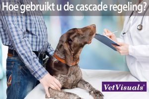 Hoe gebruikt u de cascade regeling?